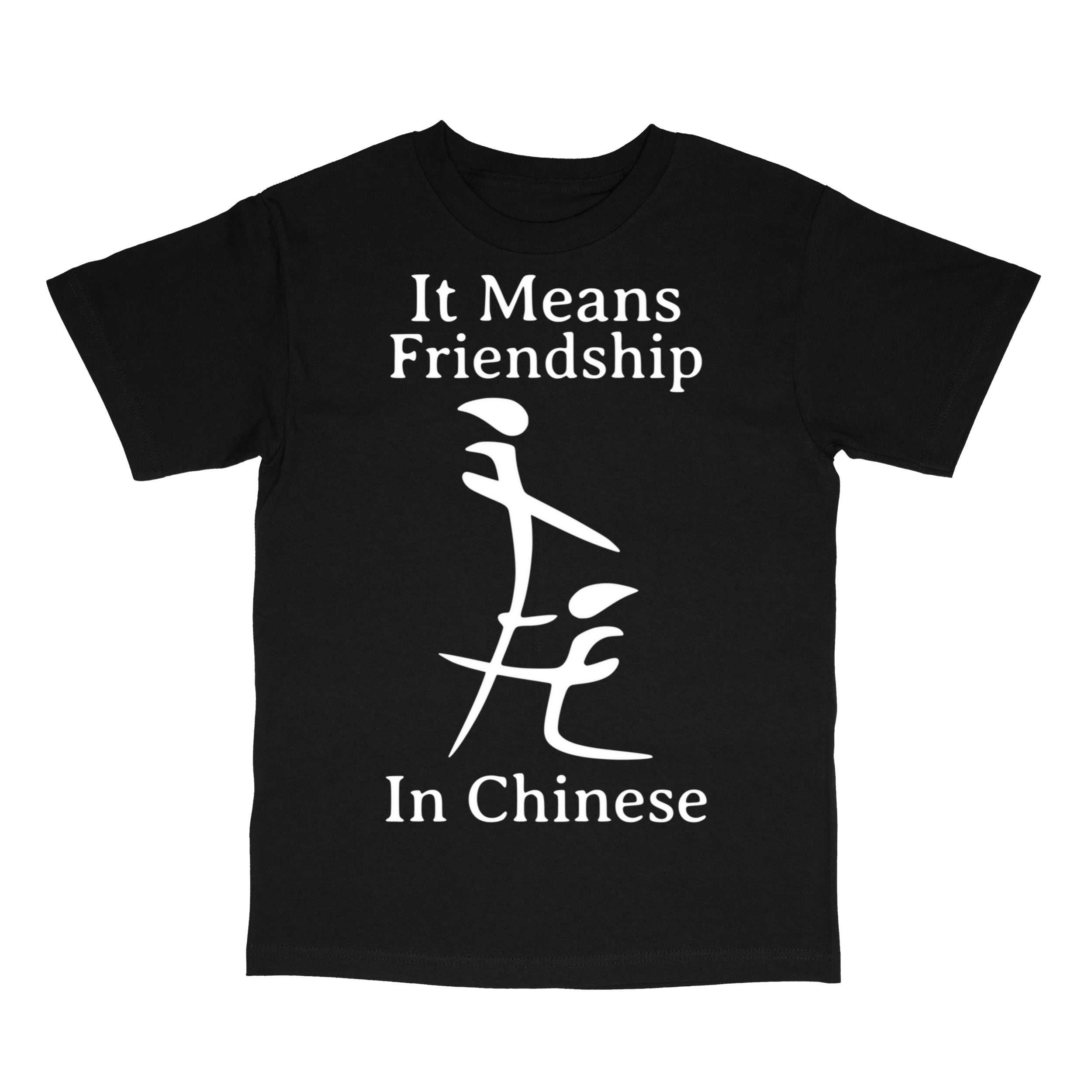 Funny Inappropriate Meme Shirt T-Shirt
