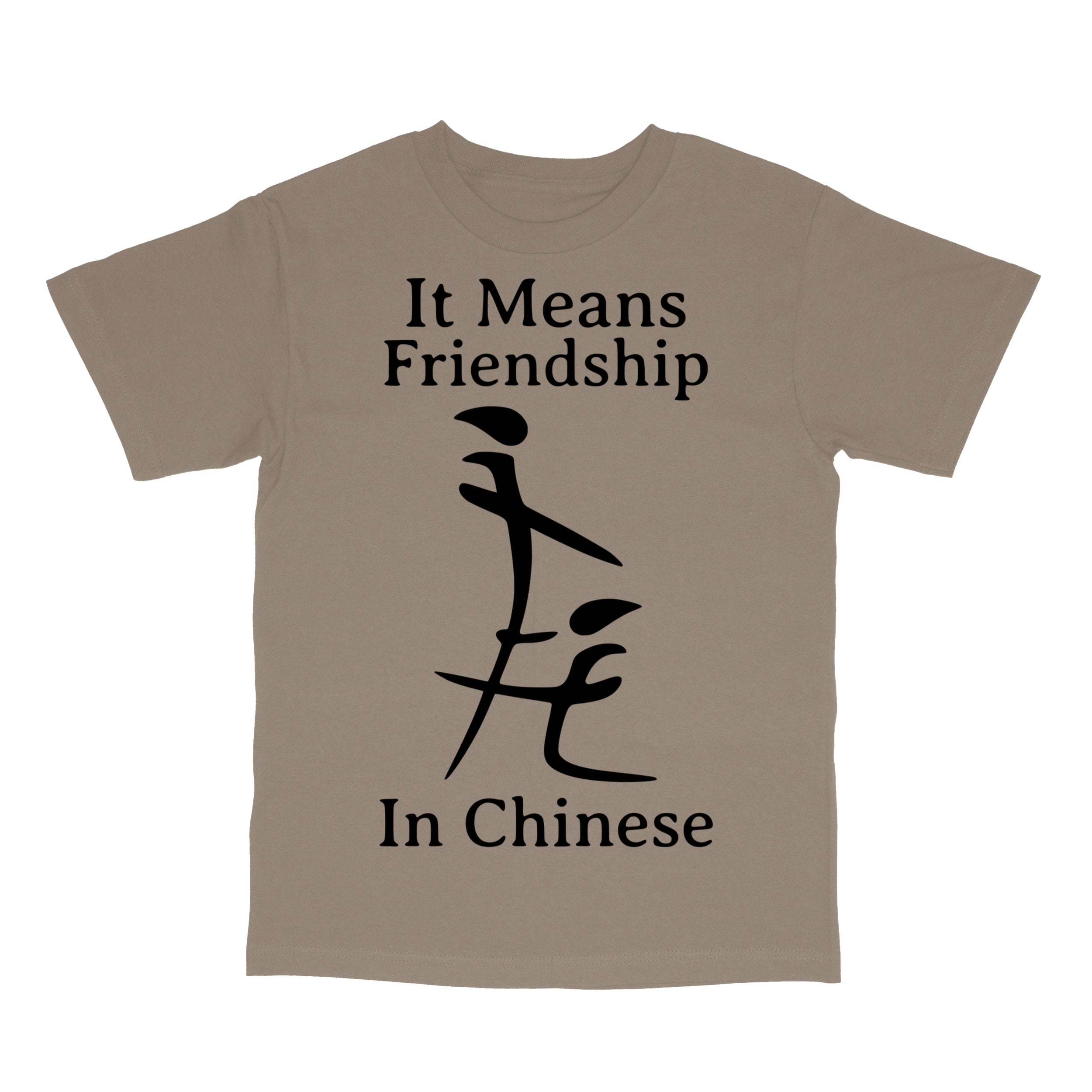 Funny Inappropriate Meme Shirt T-Shirt