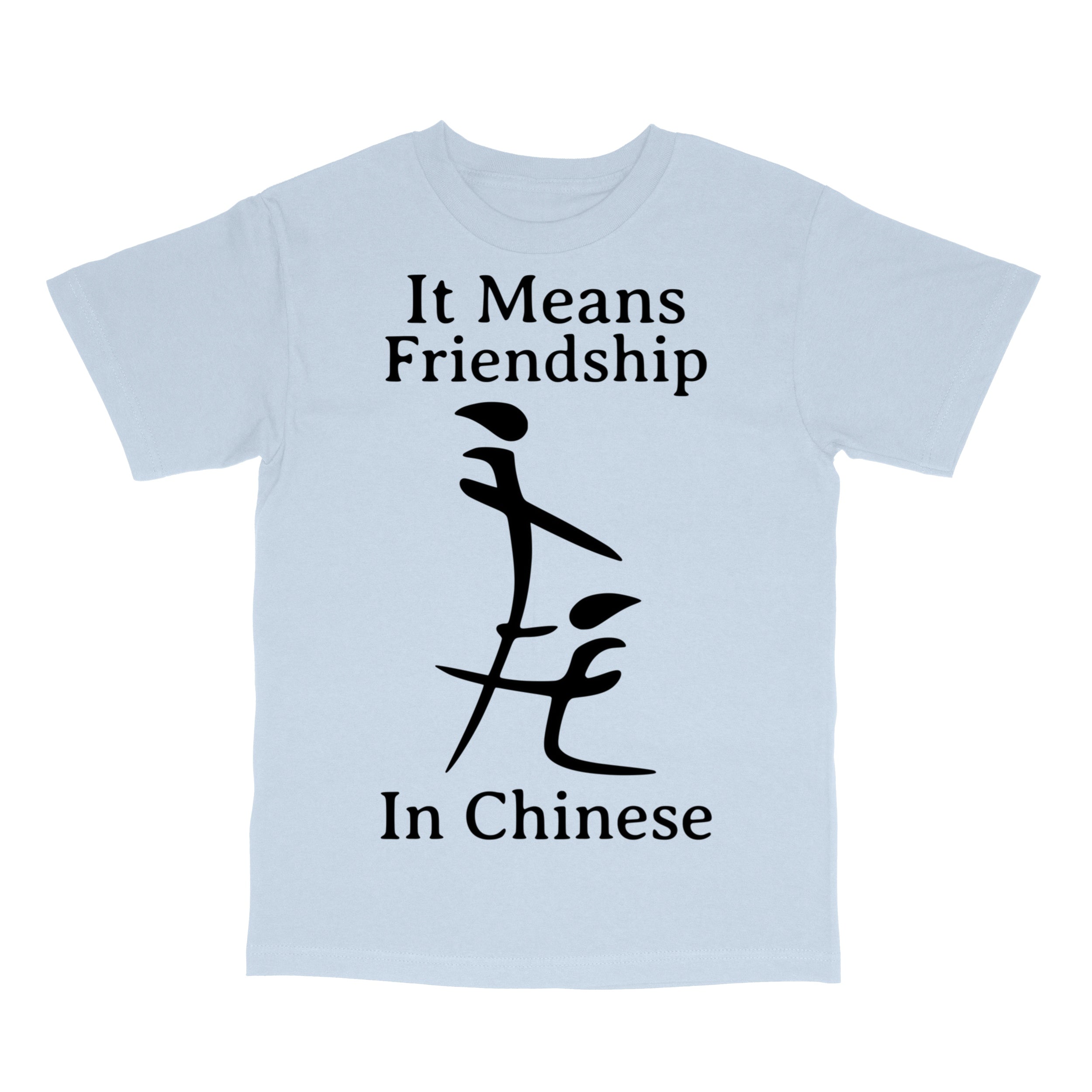 Funny Inappropriate Meme Shirt T-Shirt