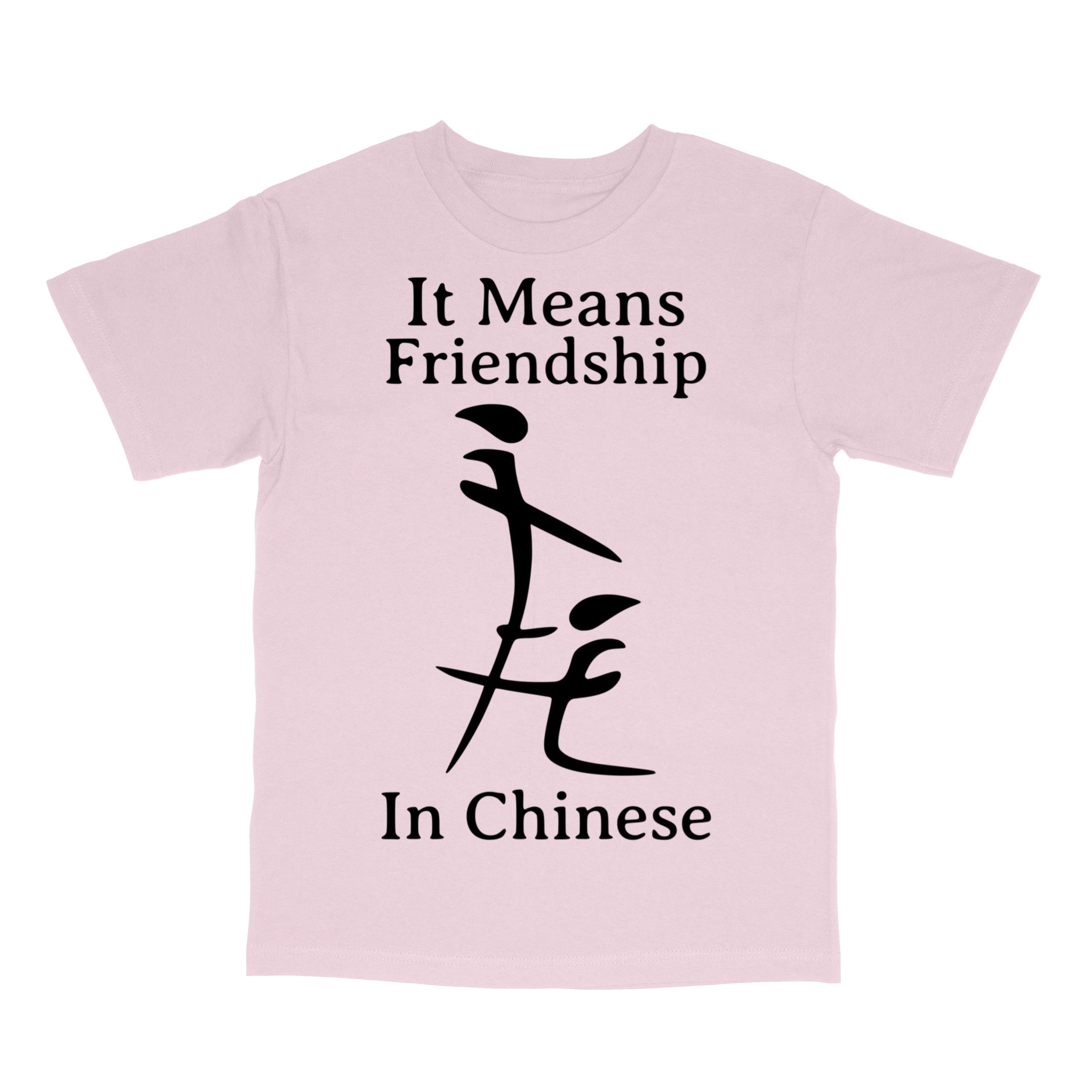 Funny Inappropriate Meme Shirt T-Shirt