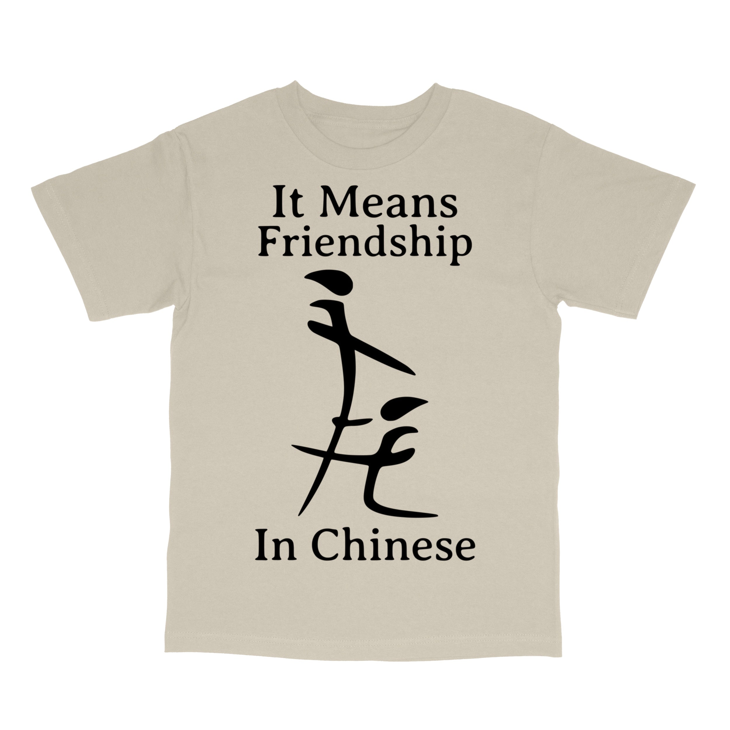 Funny Inappropriate Meme Shirt T-Shirt