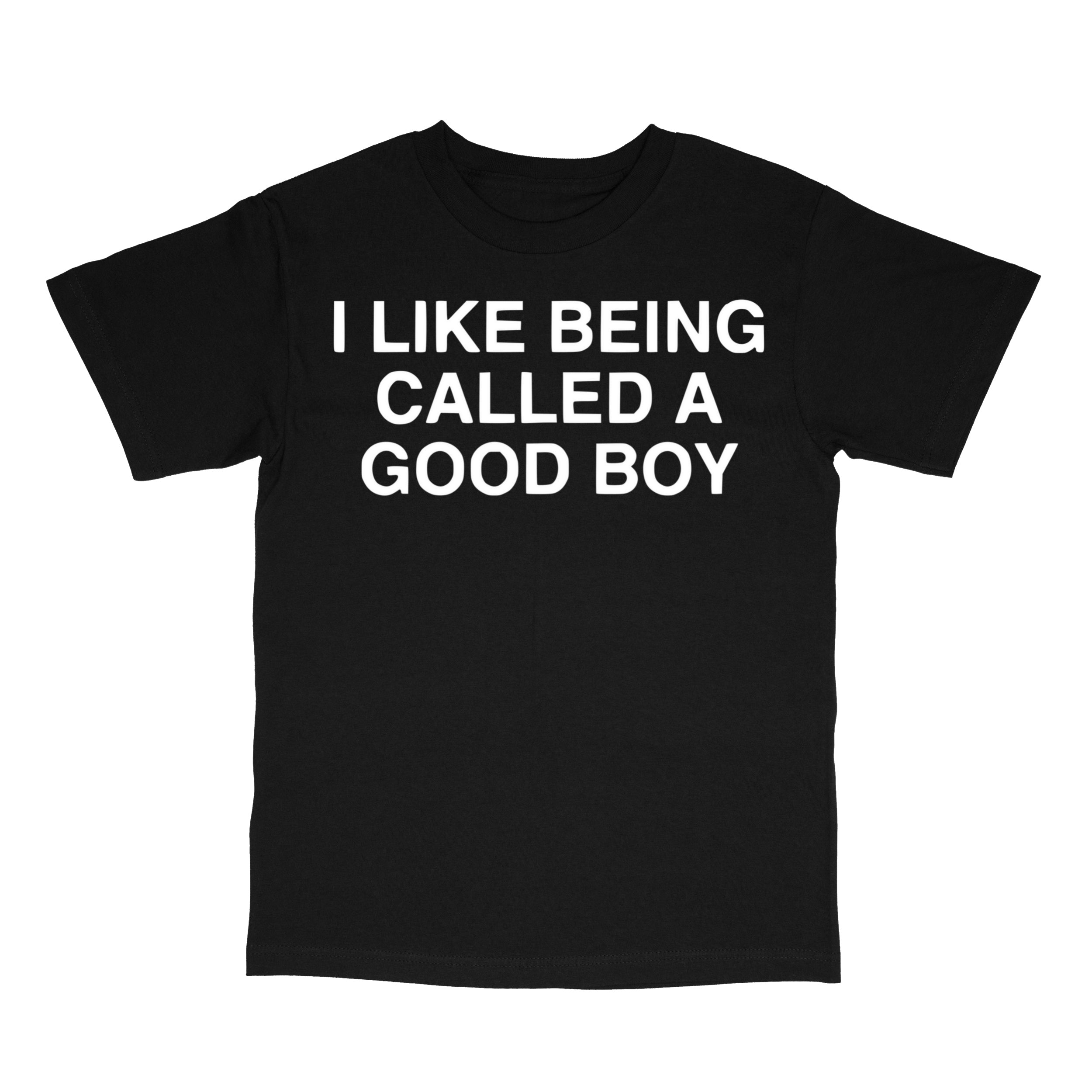 I Like Being Called A Good Boy T-Shirt