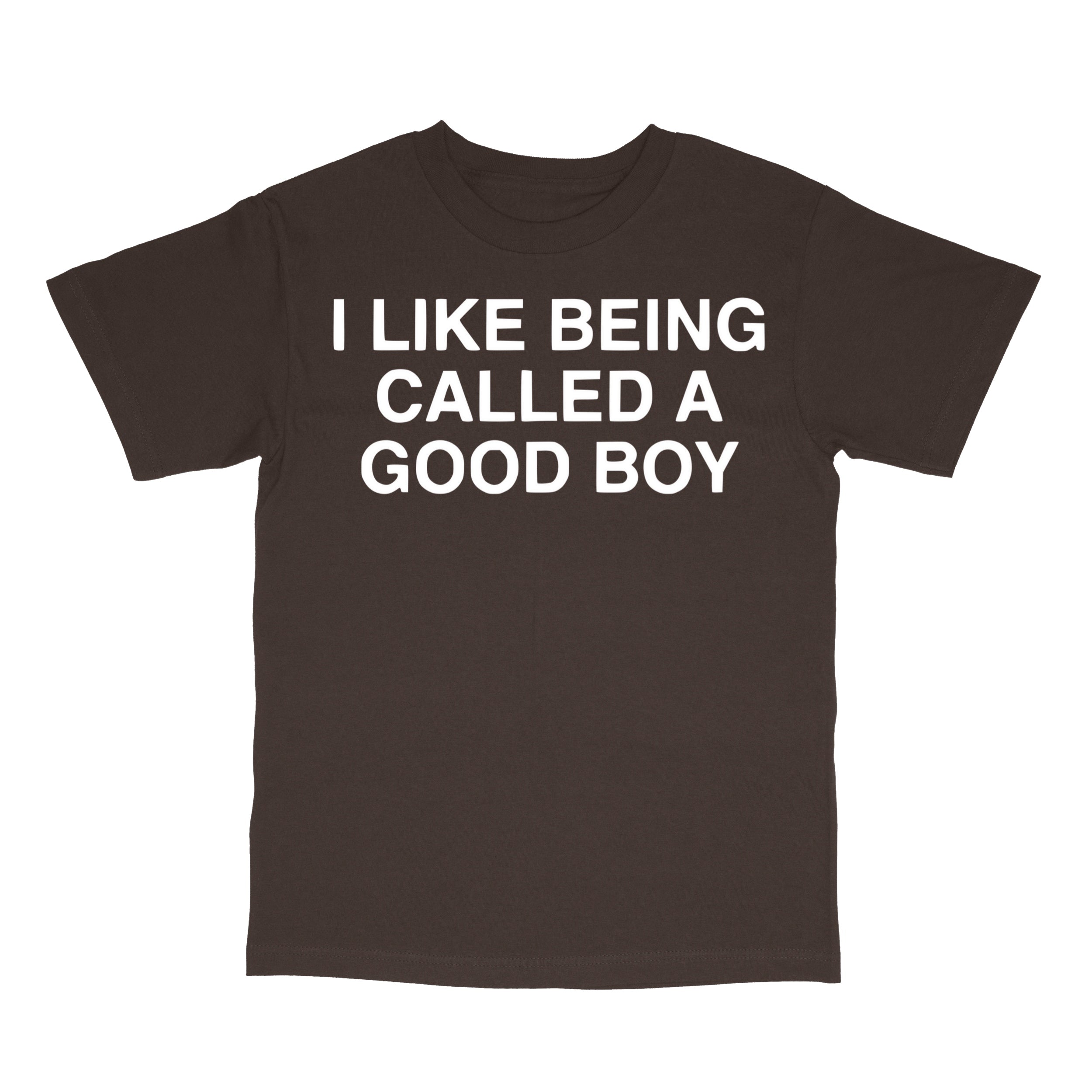 I Like Being Called A Good Boy T-Shirt