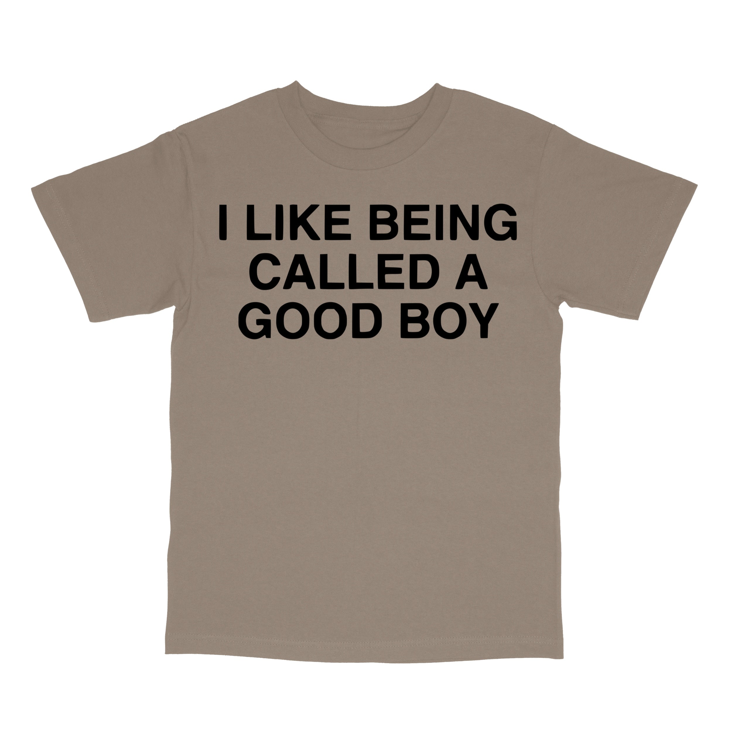 I Like Being Called A Good Boy T-Shirt