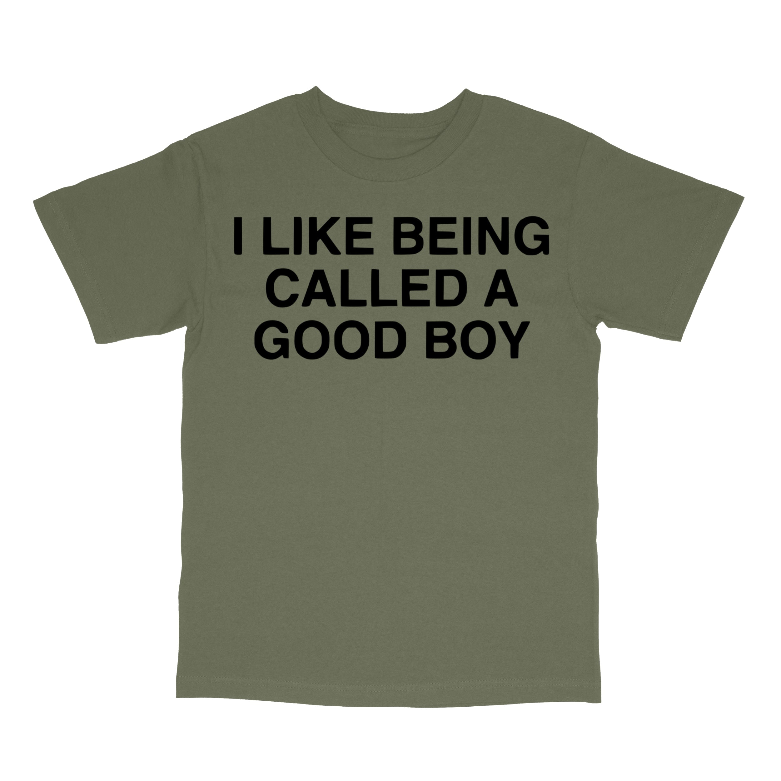 I Like Being Called A Good Boy T-Shirt
