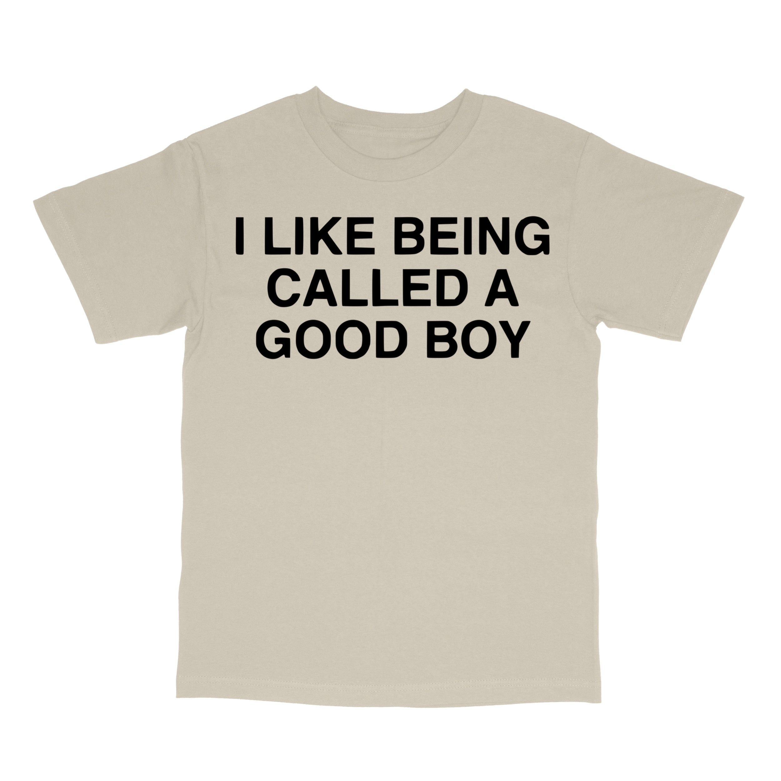 I Like Being Called A Good Boy T-Shirt