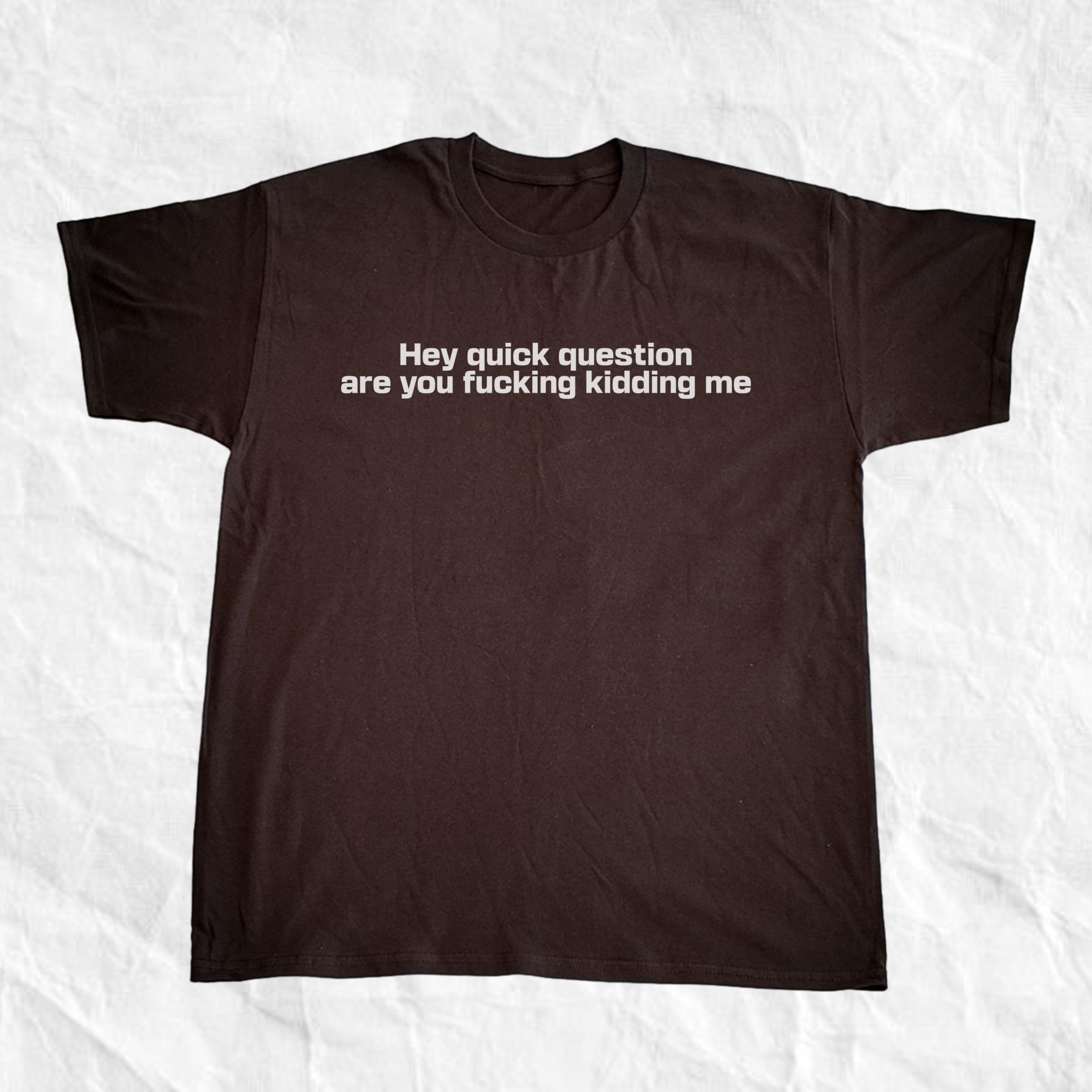Hey Quick Question Are You Kidding Me T-Shirt
