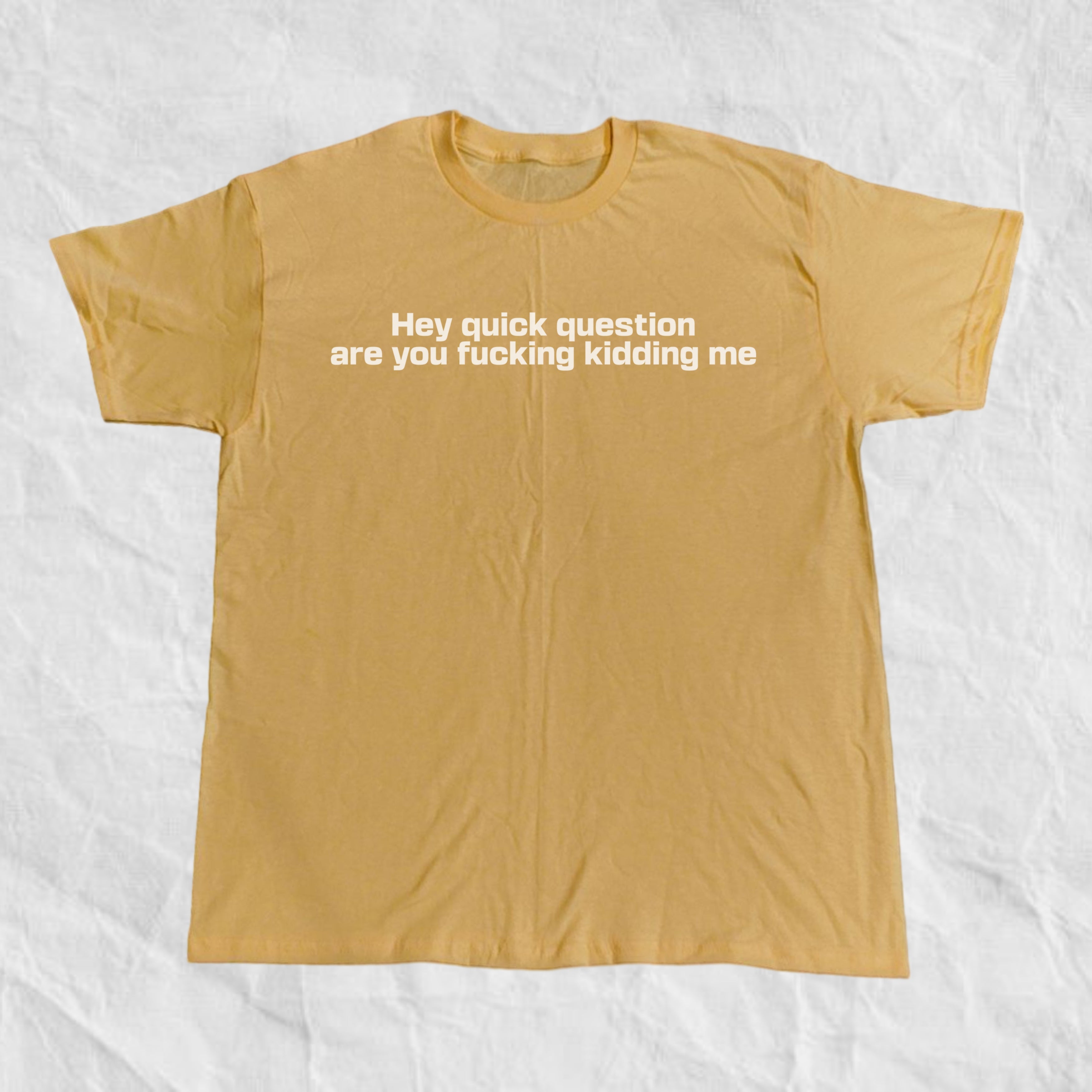 Hey Quick Question Are You Kidding Me T-Shirt