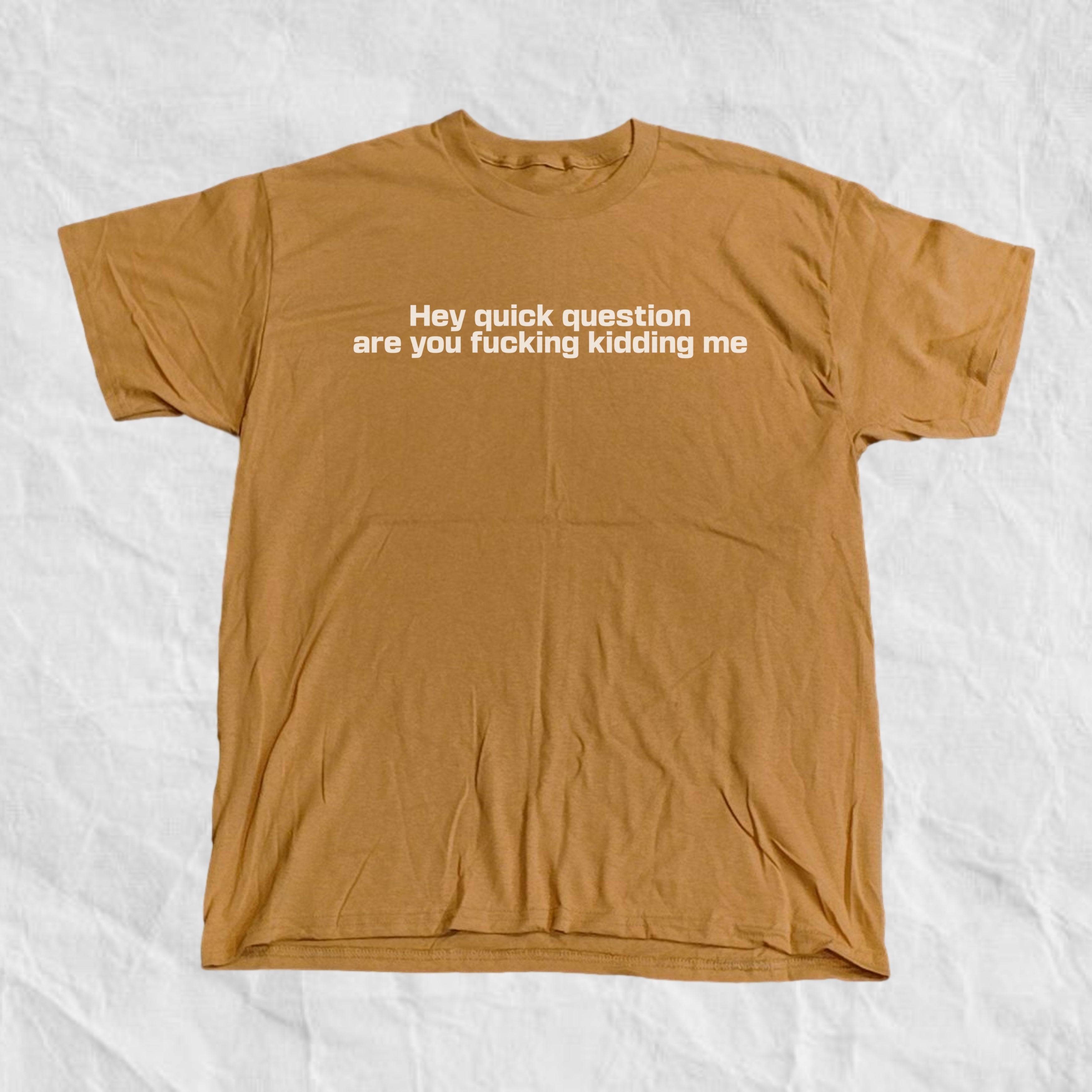 Hey Quick Question Are You Kidding Me T-Shirt